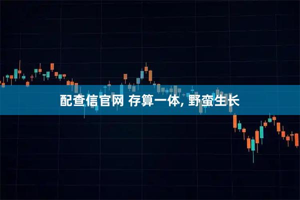 配查信官网 存算一体, 野蛮生长
